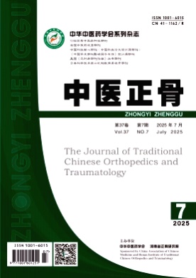 中医正骨杂志